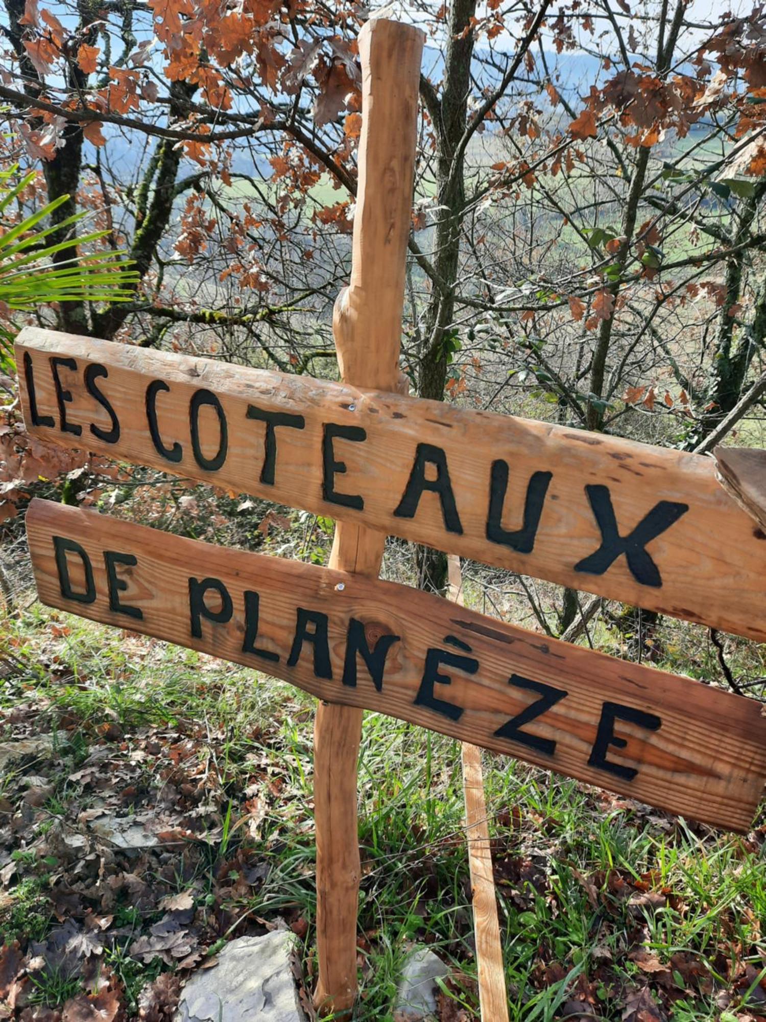 Les Coteaux De Planeze, Ideal Deplacement Pro, Chambres Individuelles Lit 160 Television Saint-Laurent-les-Tours ภายนอก รูปภาพ